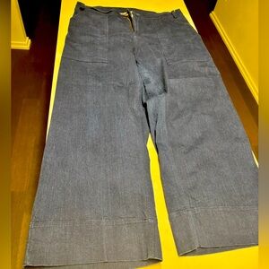 FREE LABLE STEVIE Wide-Leg Denim Pants